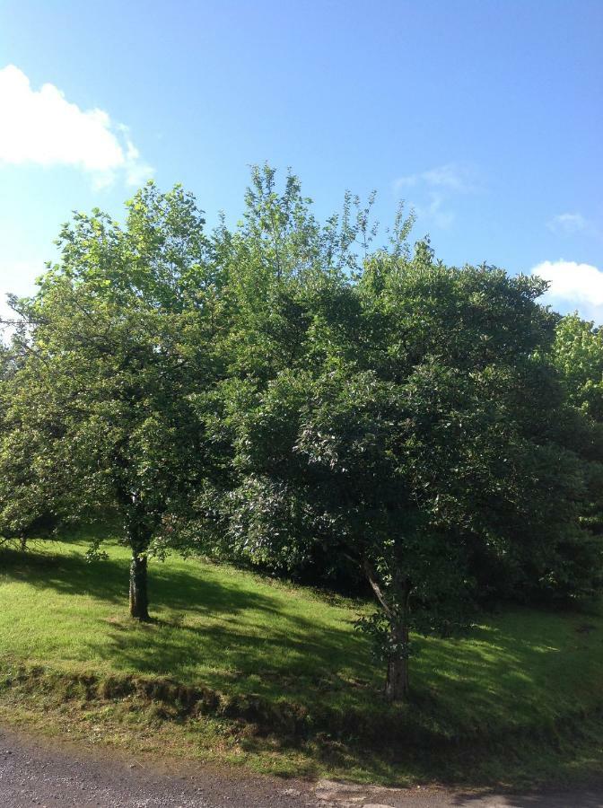 Cwmtwrch Cottage Carmarthen Luaran gambar